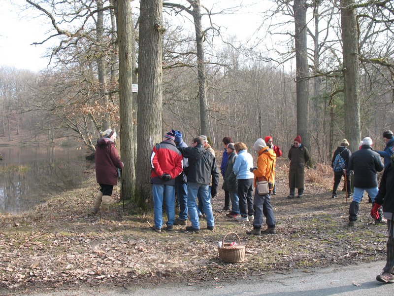 Lichens forestiers 3.3.2013 060